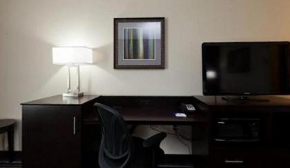 Holiday Inn Express & Suites Raceland - Highway 90 an IHG Hotel - image 4