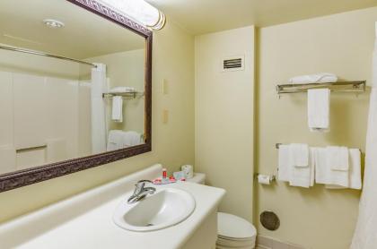 Econo Lodge Inn & Suites Radford-Blacksburg Area - image 6