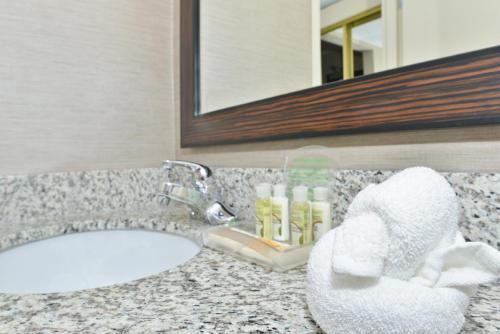 DoubleTree by Hilton Raleigh Midtown NC - image 3