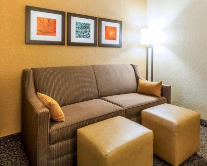 Comfort Suites - image 15