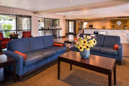 Comfort Inn & Suites Rancho Cordova-Sacramento - image 2