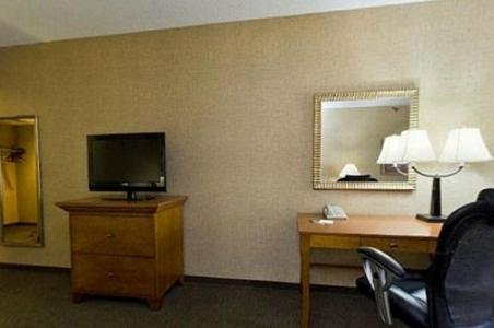 Holiday Inn Rapid City - Rushmore Plaza an IHG Hotel - image 3