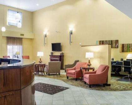 Comfort Suites Conference Center Rapid City - image 4