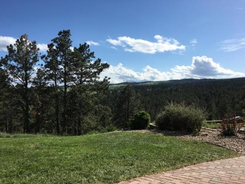 Priceless Black Hills View - main image