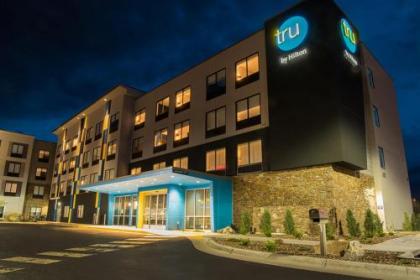 Tru By Hilton Rapid City Rushmore Sd - image 1