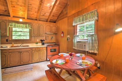 Panther Pond Cabin with 200 Ft Sand Beach and Dock - image 8