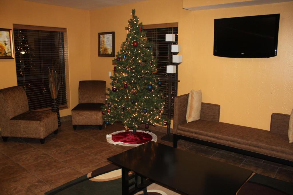 Texas Inn and Suites Raymondville - image 5