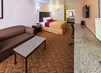 Texas Inn and Suites Raymondville - image 9