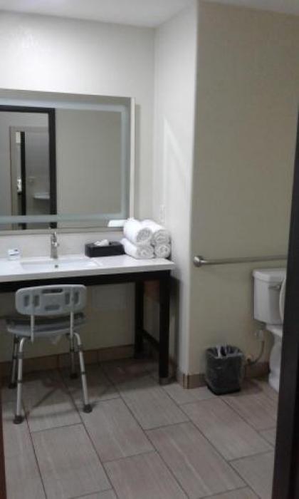 Holiday Inn Express & Suites Raymondville an IHG Hotel - image 2