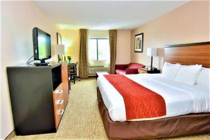 Comfort Inn Reading - image 9