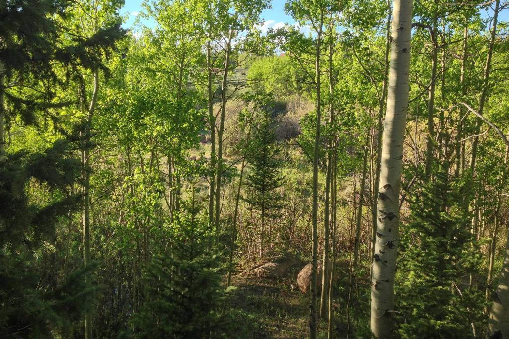 Secluded Log Cabin with Game Room and Forest Views! - image 4