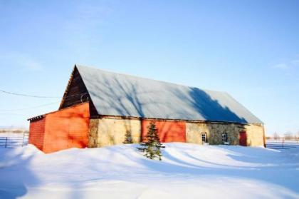 The Farmstead - Historic and Rustic on 10 Acres! - image 5