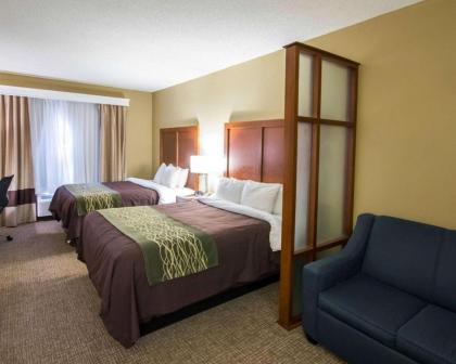 Comfort Inn and Suites - image 5