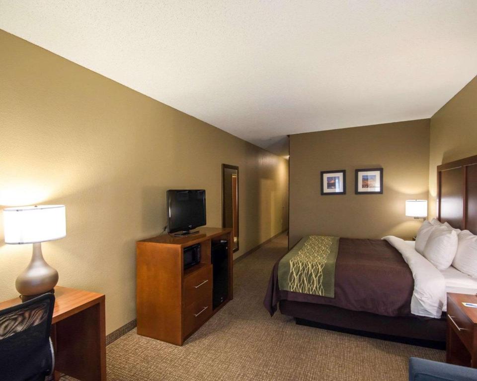 Comfort Inn and Suites - image 7