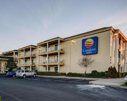 Comfort Inn Redding - image 3