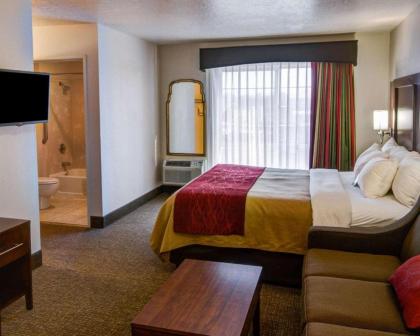 Comfort Inn Redding - image 5