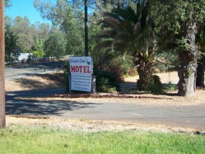 Shasta Dam Motel - image 13