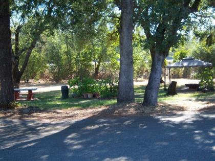 Shasta Dam Motel - image 14