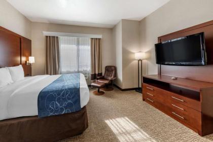 Comfort Suites Redlands - image 13