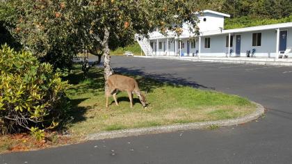 Winchester Bay Inn - image 11