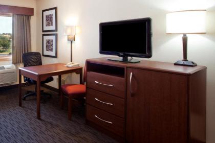 American Inn & Suites - image 4