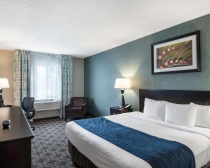 Comfort Inn - Rehoboth - image 9