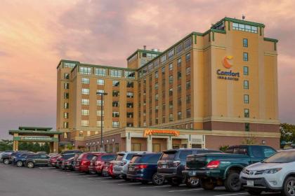 Comfort Inn & Suites Logan International Airport - image 2