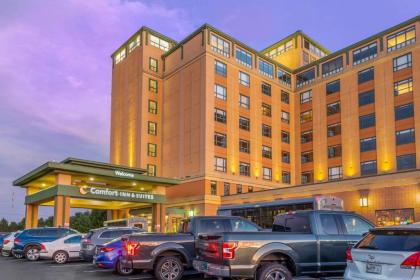 Comfort Inn & Suites Logan International Airport - image 3