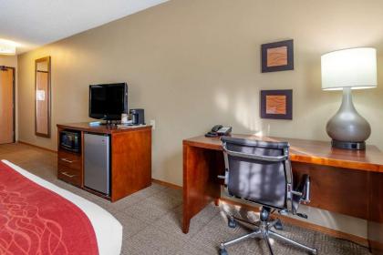 Comfort Inn Rhinelander - image 14