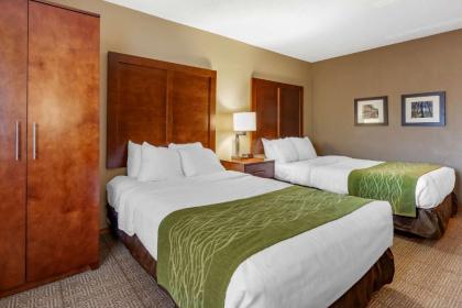 Comfort Inn Rhinelander - image 9