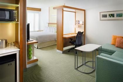 SpringHill Suites by Marriott Dallas Richardson/Plano - image 2