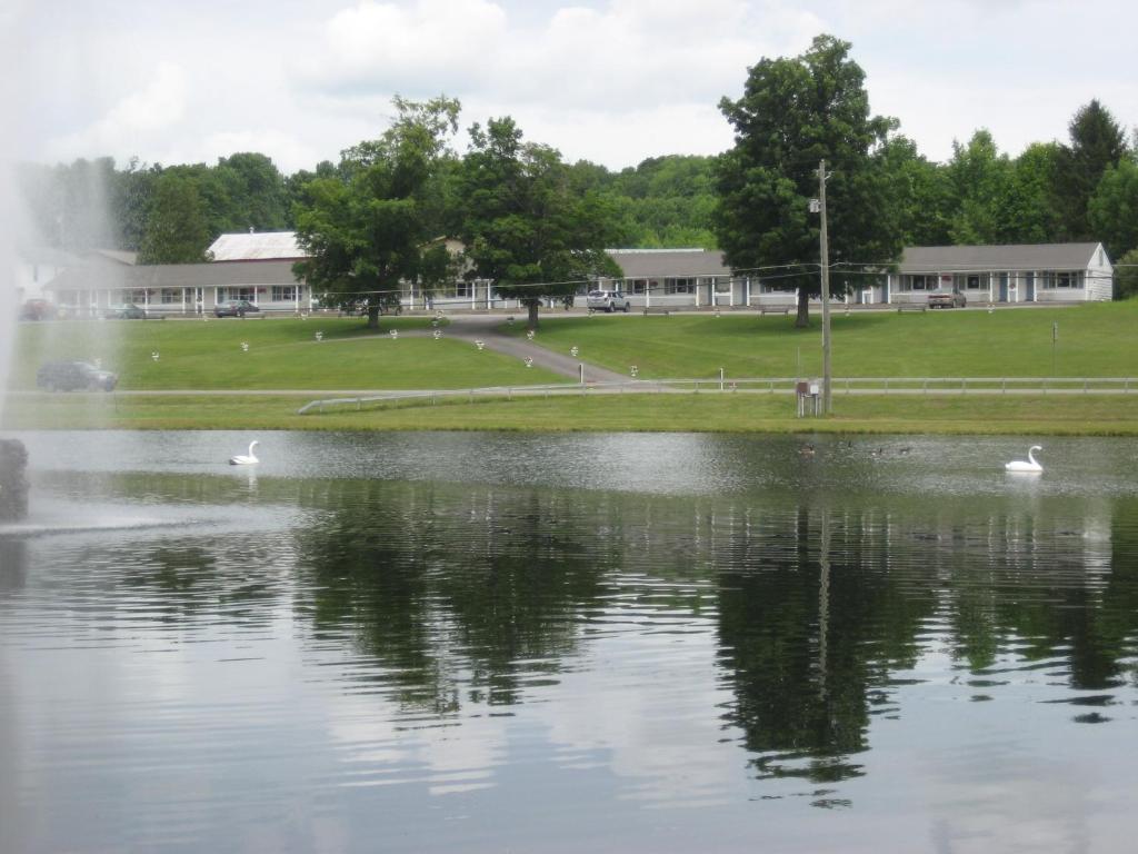 Fountain View Motel - main image