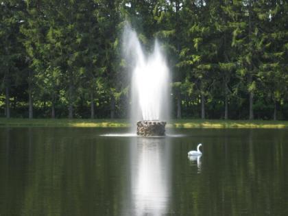 Fountain View Motel - image 3