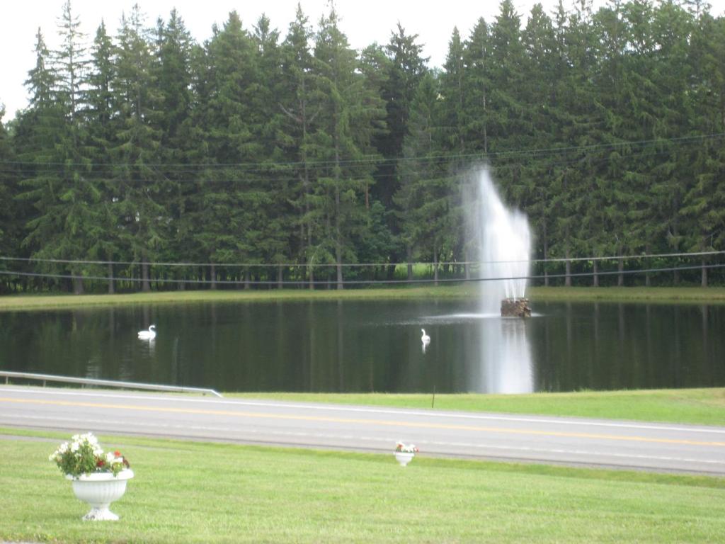 Fountain View Motel - image 5