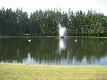 Fountain View Motel - image 6