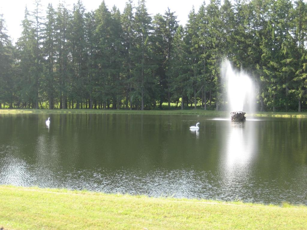 Fountain View Motel - image 7