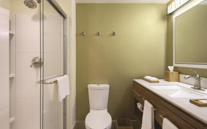 Home2 Suites St. Louis / Forest Park - image 2