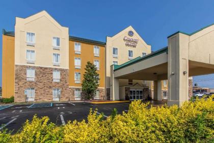 Comfort Suites Richmond - image 6