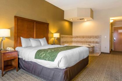 Comfort Suites Richmond - image 9