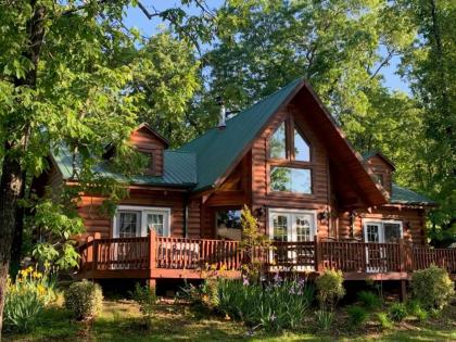 Beautiful Pet Friendly Branson Bear Cabin  private hot tub Ridgedale