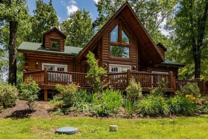 Beautiful Pet Friendly Branson Bear Cabin- private hot tub! - image 10