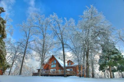 Beautiful Pet Friendly Branson Bear Cabin- private hot tub! - image 14