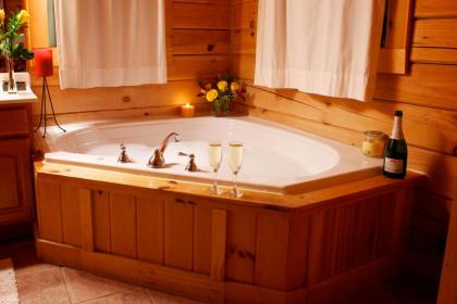 Beautiful Pet Friendly Branson Bear Cabin- private hot tub! - image 8