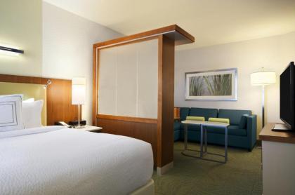 Springhill Suites by Marriott Jackson North/Ridgeland - image 12