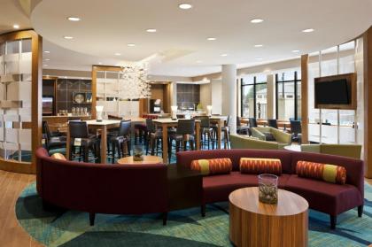 Springhill Suites by Marriott Jackson North/Ridgeland - image 5