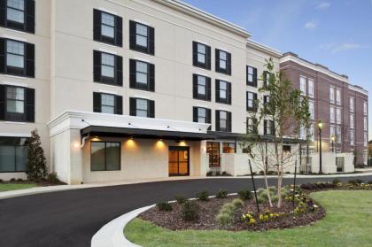 Springhill Suites by Marriott Jackson North/Ridgeland - image 8