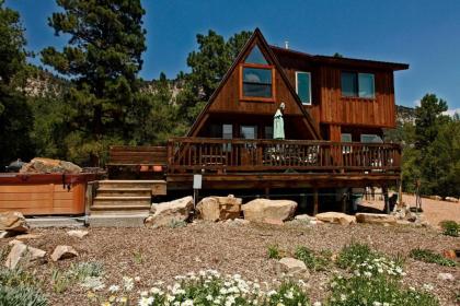 Catamount Cabin Ridgway Colorado