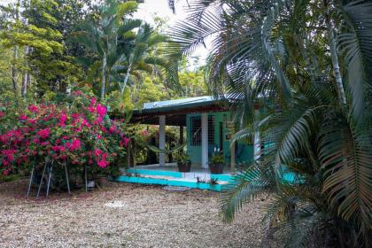 Rincón Blu Tropical House - image 10