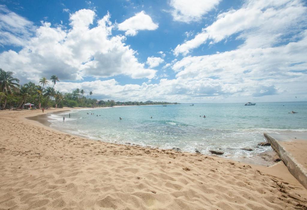 Modern Beach Walk at Puerto Bahia #30 - image 5