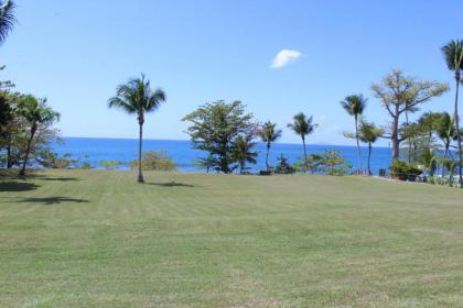 Beachfront 2 bdr WiFi Hammock Kitchen The Reef 1 - image 4